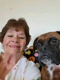 Dog going to the spa today