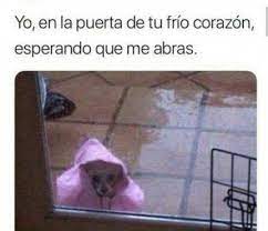 59 Trendy Memes En Espanol Frio Memes Divertidos Memes Memes De Crush