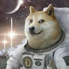 We've gathered more than 5 million images uploaded by our users and sorted them by the most popular ones. Sexpicturesanimaxcom Doge 1080x1080 3p Zuwtsvxhszm