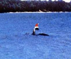 Search for Champ | Lake Champlain