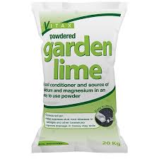 Pin On Gardening