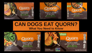 As a loving pet owner. Can Dogs Eat Quorn What You Need To Know About Dogs And Quorn