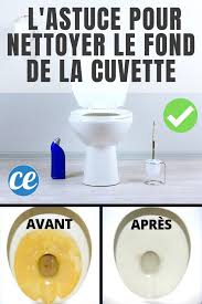 le truc efficace pour nettoyer le fond de la cuvette encrasse nettoyage de la cuvette des toilettes astuces pour nettoyer nettoyer toilettes