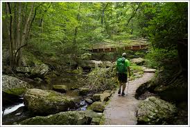 Image result for cascade