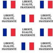 Colorful Fabrics Digitally Printed By Spoonflower Vive La France In 2020 Fabric Flags Spoonflower Surface Design