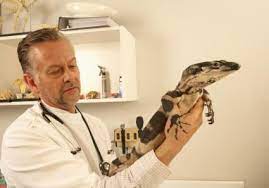 Providing care for exotic pets since 2006. Tropical Pets Near Me Www Macj Com Br