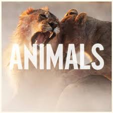 Animals Maroon 5 Song Wikipedia
