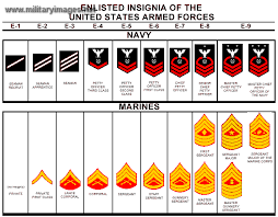 Enlisted Insignia Us Armed Forces Us Navy Enlisted Ranks