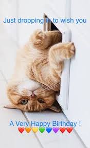 Pin By Anjaly Singh On H Happy Birthday Cards Crazy Cats Cats Cat Birthday