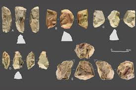 Stone Tools Discovered in China Resemble Neanderthal Technology Used in  Europe, Creating a Middle Stone Age Mystery