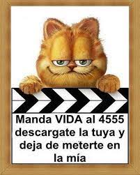 Pin En Frases Espanol