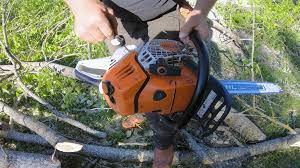 It's also friendly to the environment and very cheap. The Result After Long Term Testing Stihl Ms 500i Forestry Com