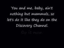 The Bad Touch Bloodhound Gang I Know Every Word To This Song Haha Bad Touch Songs Lyrics