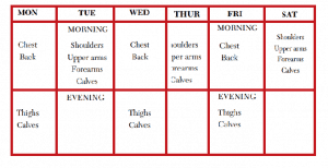 6 Day Gym Workout Schedule Full Guide Olympic Muscle