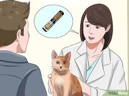 Contact information on the major pet microchip companies is listed below. How To Microchip Your Cat 13 Steps With Pictures Wikihow