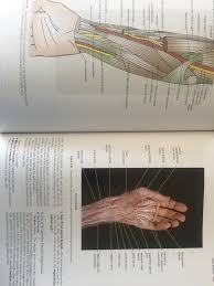 Central nervous system by podar bhagat. What Is The Best Clinical Anatomy Book For A 1st Year Mbbs Student Quora