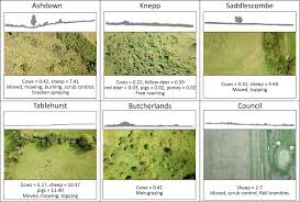 > report a pest control problem. Ebxoty6w14nokm