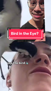 Im not sure if this is considered seeing eye to eye. What they say about  Australia and its animals are true. #downunder #skingapore #gpsamuel  #tiktoksg #drsamuelgp #learnontiktok #doctorsoftiktok ...