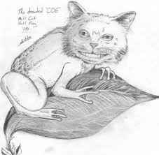 John Animal Hybrid Cat Frog Cog Drawing Animal Sculptures Animal Drawings Animal Art