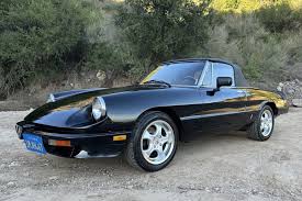 Image result for Celeste Chiaro 1985 Alfa-Romeo