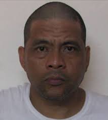 More cocaine, meth and guns seized in latest sting