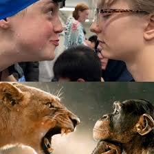 Your Solon swimmers had a BLAST ☄️