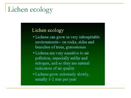 Ppt Chapter 23 The Fungi Powerpoint Presentation Free Download Id 4112131