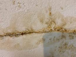 Make sure other sources of moisture, like the clothes dryer and bathroom, are properly ventilated. How To Get Rid Of And Prevent Mold Growth On Concrete Environix