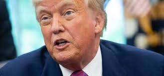 Hamlet”: Chela de Ferrari dirigia a un elenco de actores con Síndrome de  Down en el teatro La Plaza