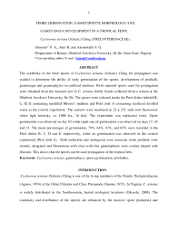 Image result for Cyclosorus striatus