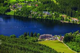 Walk or use the local buses. Maritim Titisee Hotel Titisee Neustadt Updated 2021 Prices