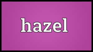 Hazel Meaning Youtube