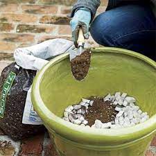 Best Of 10 Uses For Common Household Products Planting Pots Packing Peanuts Easy Garden