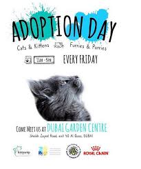 According to research, black kittens and black cats are showing the healthiest adoption rates that rescue groups have seen in years. Waggybond Pet Adoption Days
