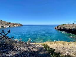 During the late 1800s, ranchers filled about half of the. Come See A Hidden Channel Islands National Park Treasure Ventura California