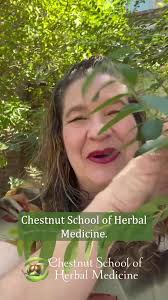 ✨ Learn from Respected Herbalists 🌿