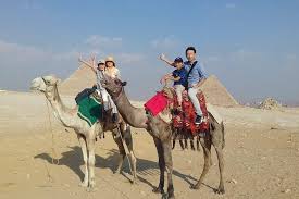 Camel tours are held around the giza plateau at sunrise or sunset. Day Tour To Giza Pyramids By Camel Include Entrance Fees Tickets Cairo Your First Click