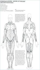 The lower leg muscles are essential bodily structures. Image Result For Soft Tissue Anatomy Printable Anatomy Coloring Book Coloring Books Muscle Diagram