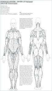 In this anatomy course, part of the anatomy xseries, you will learn how the components of the integumentary system help protect our body (epidermis, dermis, hair, nails, and glands), and how the musculoskeletal system (bones, joints, and skeletal muscles) protects and allows the body to move. Image Result For Soft Tissue Anatomy Printable Coloring Books Anatomy Coloring Book Coloring Pages To Print
