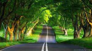 Nature wallpapers, background,photos and images of nature for desktop windows 10 macos, apple iphone and android mobile. Nature 3d Wallpapers Free Download 13 Backgrounds Wallpapers Desktop Background