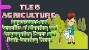 Tle 6 Ag Importance And Benefits Of Planting And Propagating Trees And Fruit Bearing Trees Propagation Video Lessons