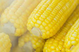 Maybe you would like to learn more about one of these? Resepi Bujang Dari Dapur Mahamahu Nasi Goreng Jagung Manis Maha Mahu Makan