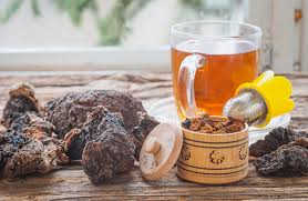 Maybe you would like to learn more about one of these? Chaga Mushroom Tea Health Benefits And Recipe