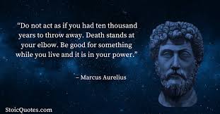 Image result for ship in the harbor is safe