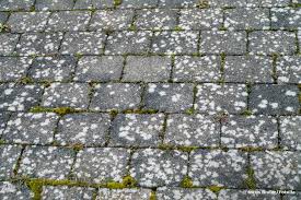 Marmor verträgt keine säure und das entfernen eines. Flechten Von Pflastersteinen Entfernen 4 Naturliche Hausmittel