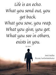 Life Is An Echo Life Wise Words Words
