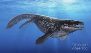 Prognathodon Saturator Late Cretaceous Discovered In 1998 Fossil Teeth Dinosaur Prehistoric