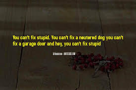 Top 24 You Can T Fix Stupid Quotes Famous Quotes Sayings About You Can T Fix Stupid
