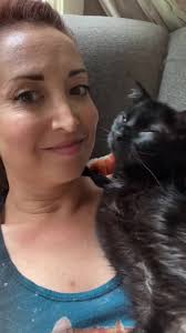 Cat Attacking Lady Head