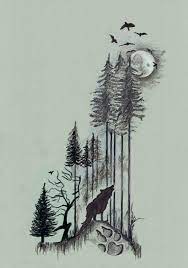 Pin On Drawing